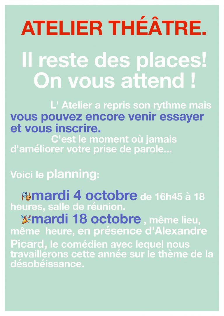 Les articles du site  Collège Maryse Bastié  Page 13